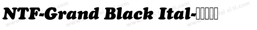 NTF-Grand Black Ital字体转换